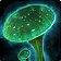 Mycolic Medicine icon