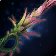 Blooming Thornblade icon